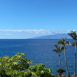 Flores 5 , Playa de las Americas (Tenerife) Spain
